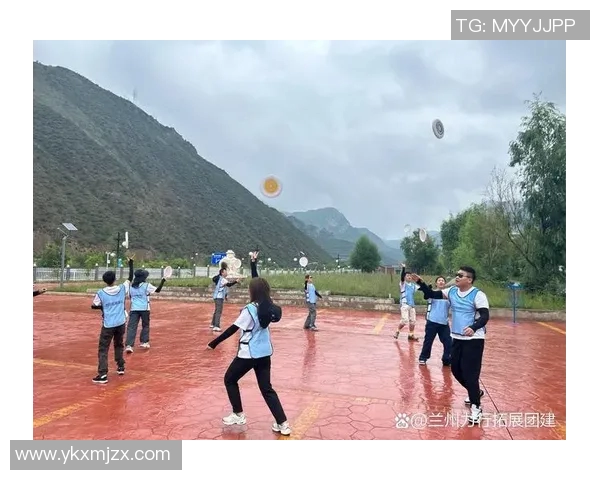 飞盘竞技的魅力与挑战：深入探讨广州飞盘队的战术与团队协作